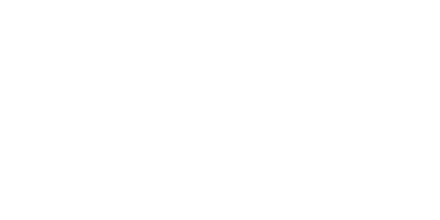 steinform.png